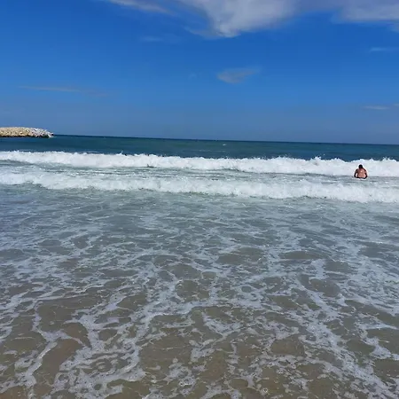 Mona * Eforie Nord